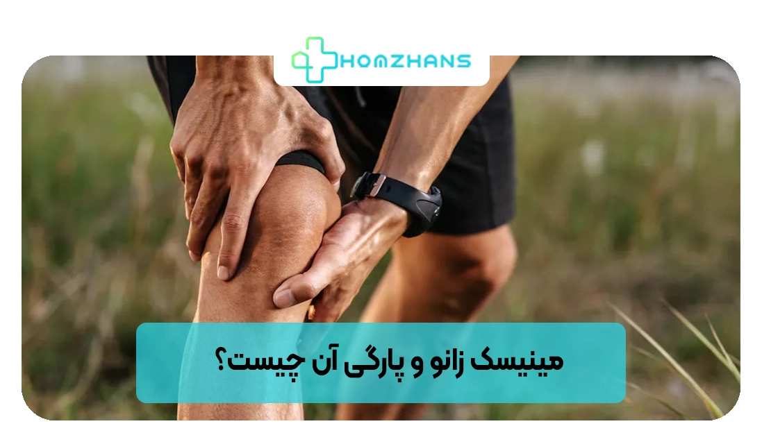مینیسک زانو و پارگی آن چیست؟ | هومژانس